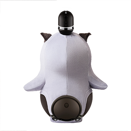 LC254-05_back_420.jpg