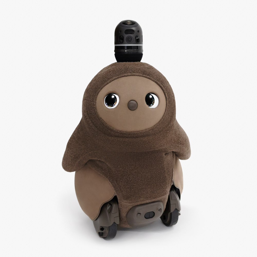 ホールガーメント（ちゃ）