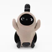 ホールガーメント（うす）