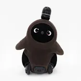 ホールガーメント（こげ）