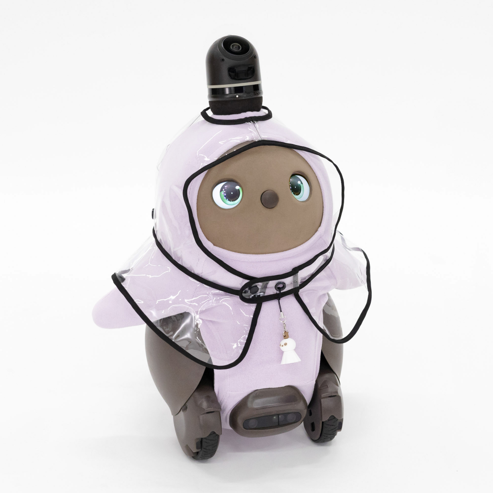 LCB0C-03_02.jpg