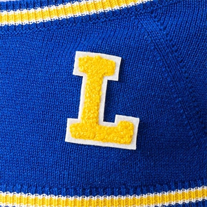 LOVOT ラボット 服 カレッジベスト　新品 カレッジニットベスト(ブルー) | LOVOT ウェブストア