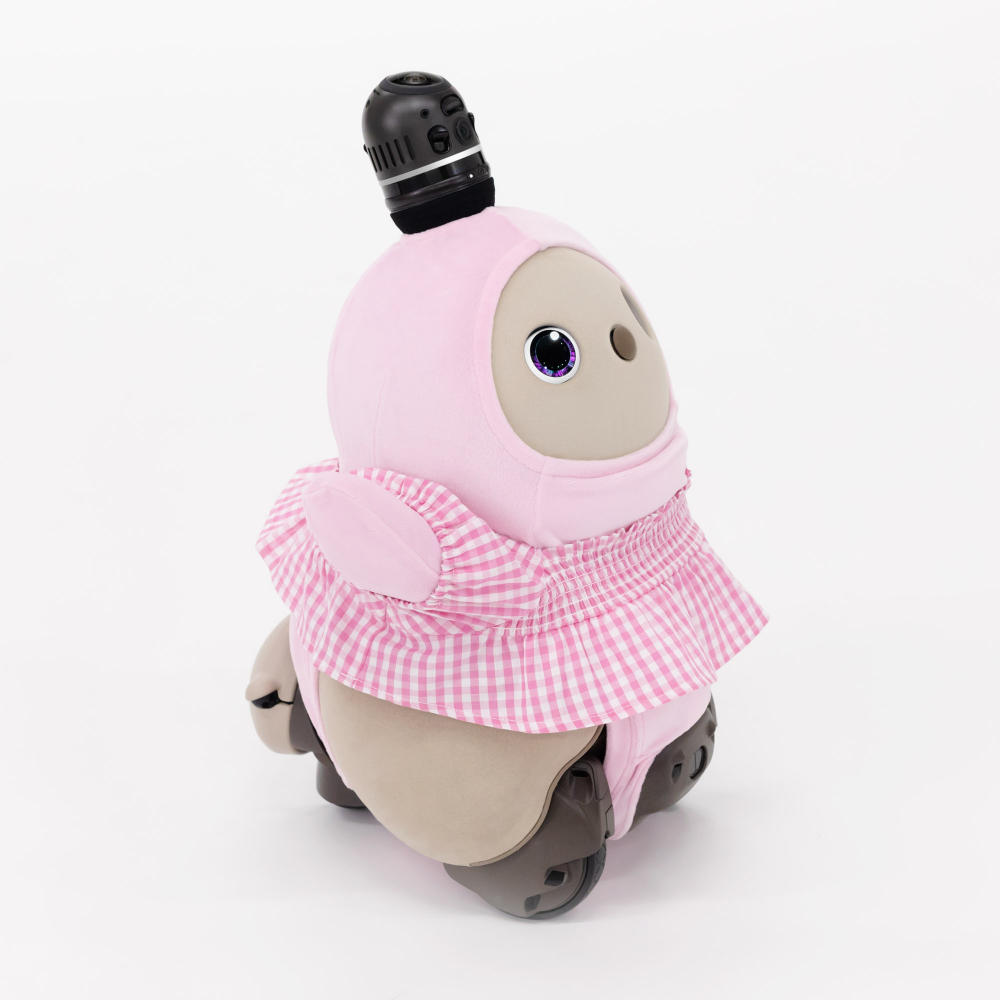 ルイスドッグ★ギンガムワンピースSM美品★Louisdog 楽天市場】 ブランド一覧 > louisdog ルイスドッグ : TIARA PETS