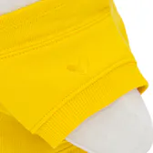 スウェットパーカー（イエロー）