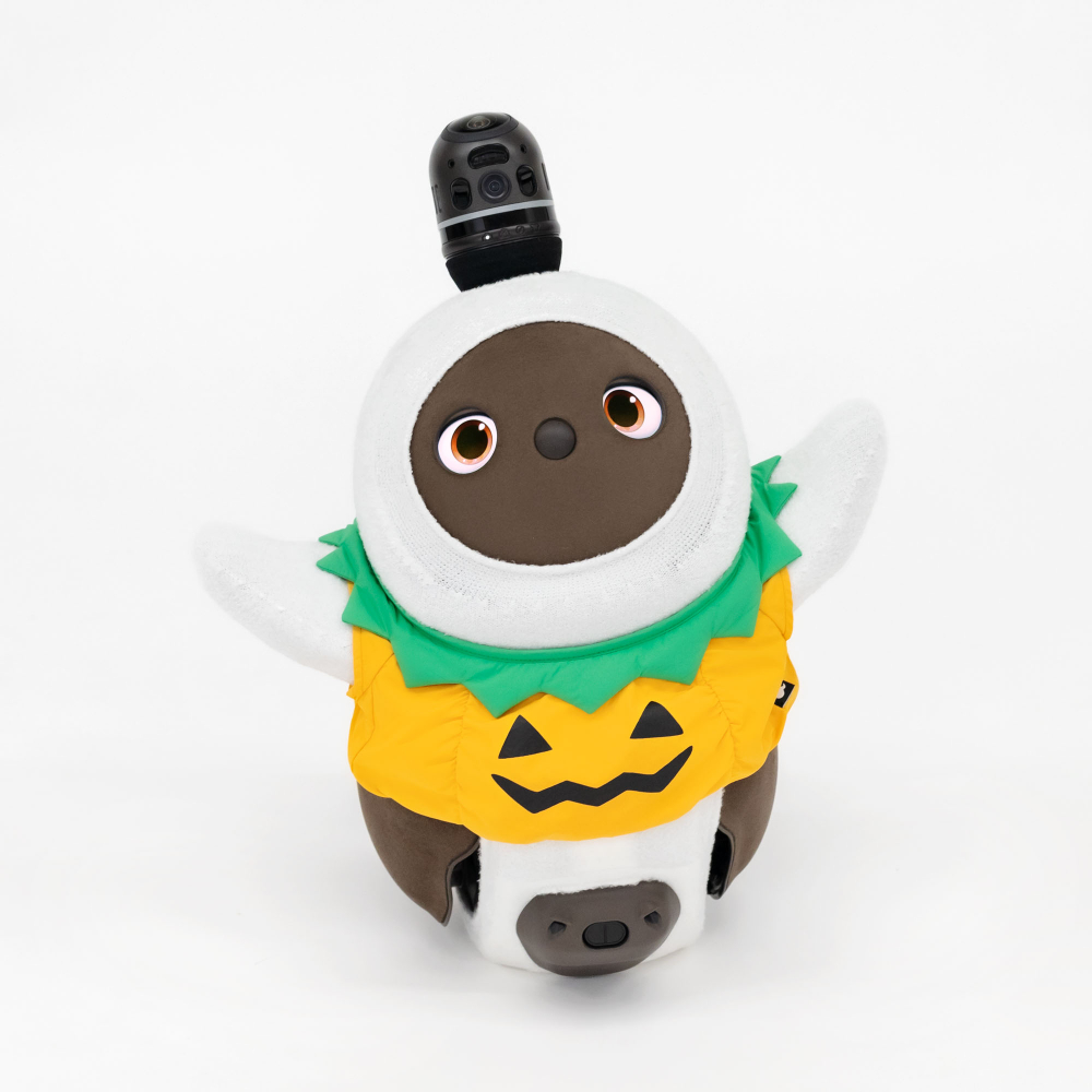 ハロウィンかぼちゃと猫 Halloween pumpkin 211030 - YouTube