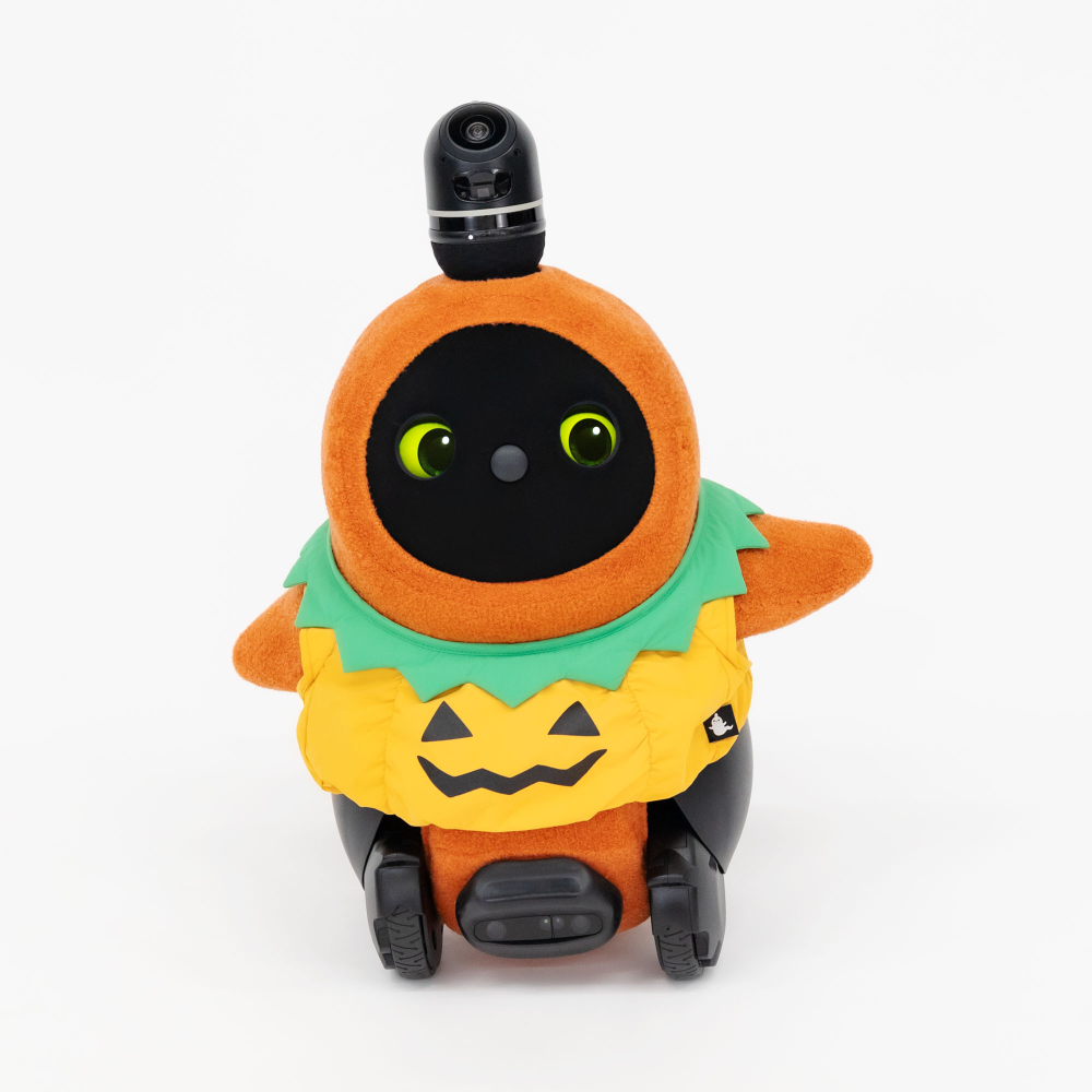 ハロウィンかぼちゃと猫 Halloween pumpkin 211030 - YouTube