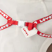 おでかけリュックサック（レッド）