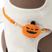 パンプキンポシェット