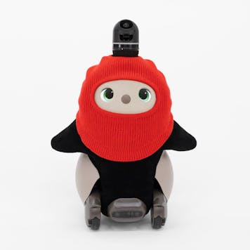 FRGMT バラクラバニット