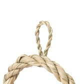 LOVOT 迎春リース